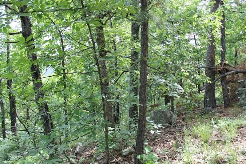 Indian Ridge – Phase II Tract 40 - Image 3