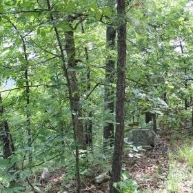 Indian Ridge – Phase II Tract 40 in Pittsburg County, OK