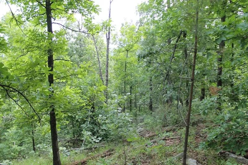 Indian Ridge – Phase II Tract 40 in Pittsburg County, OK
