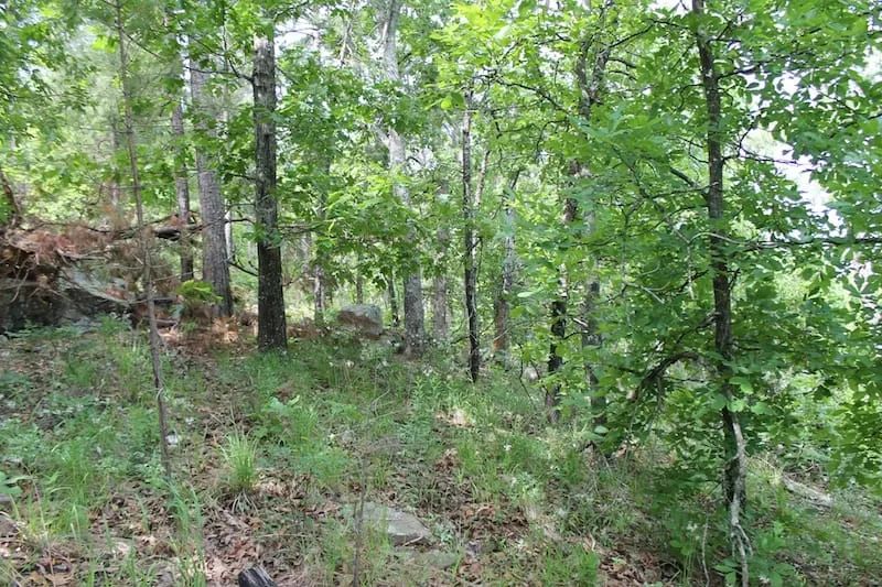 Decorative background for Indian Ridge – Phase II Tract 40 image 8