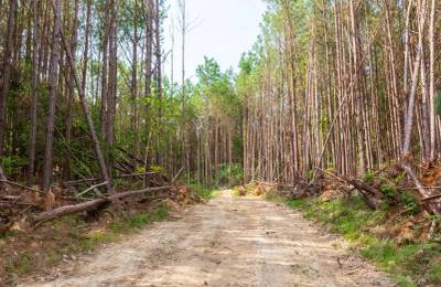 Whiskey Ridge Tract 96