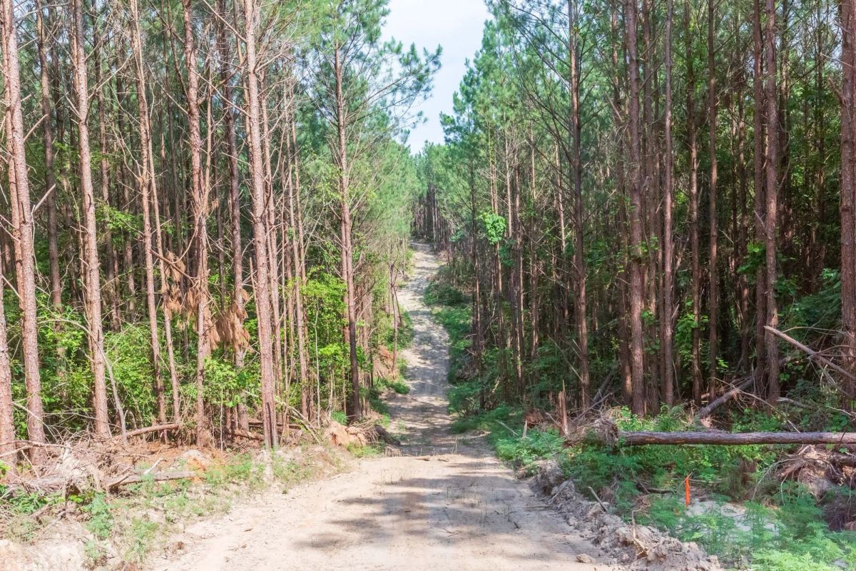 Whiskey Ridge Tract 96 - Image 4