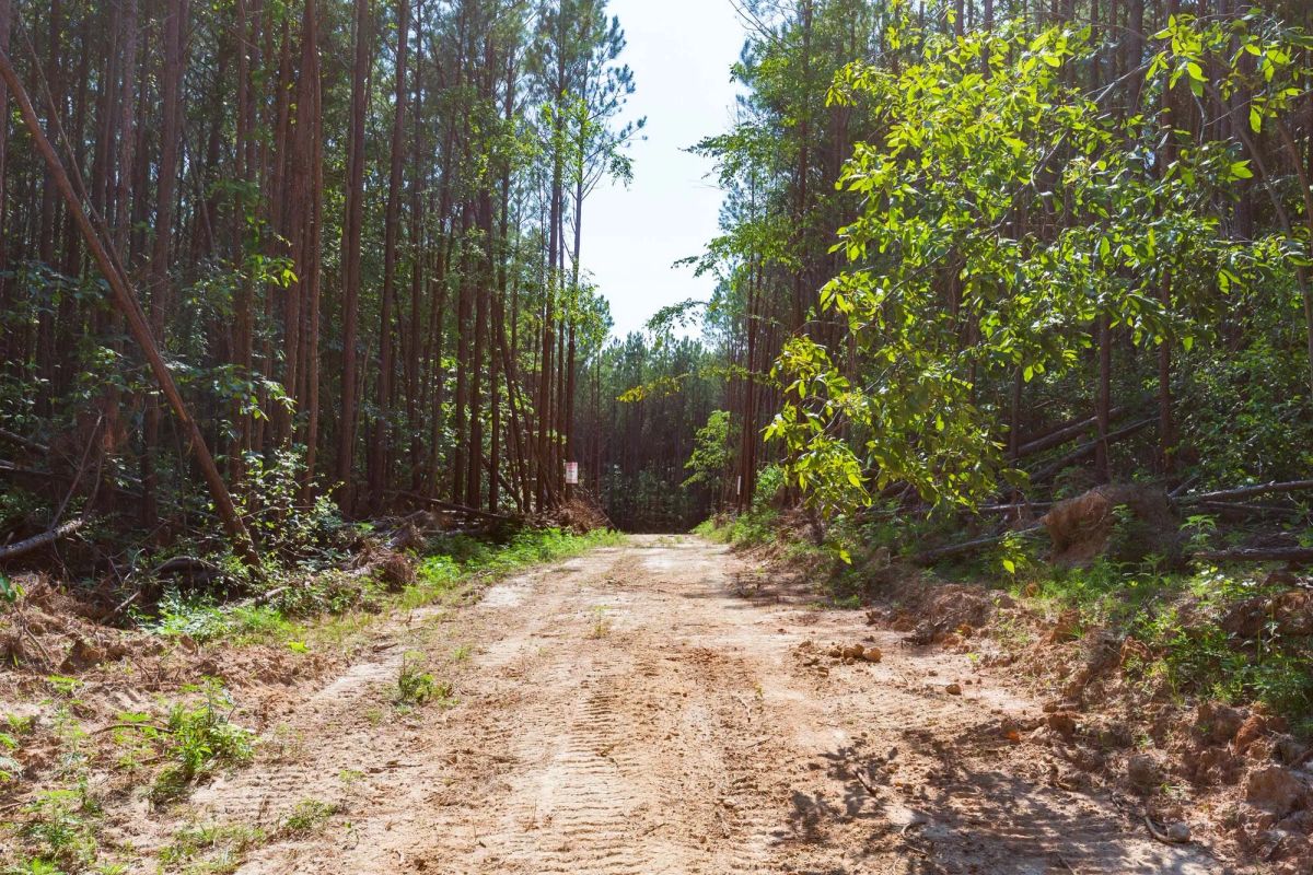 Decorative background for Whiskey Ridge Tract 96 image 10