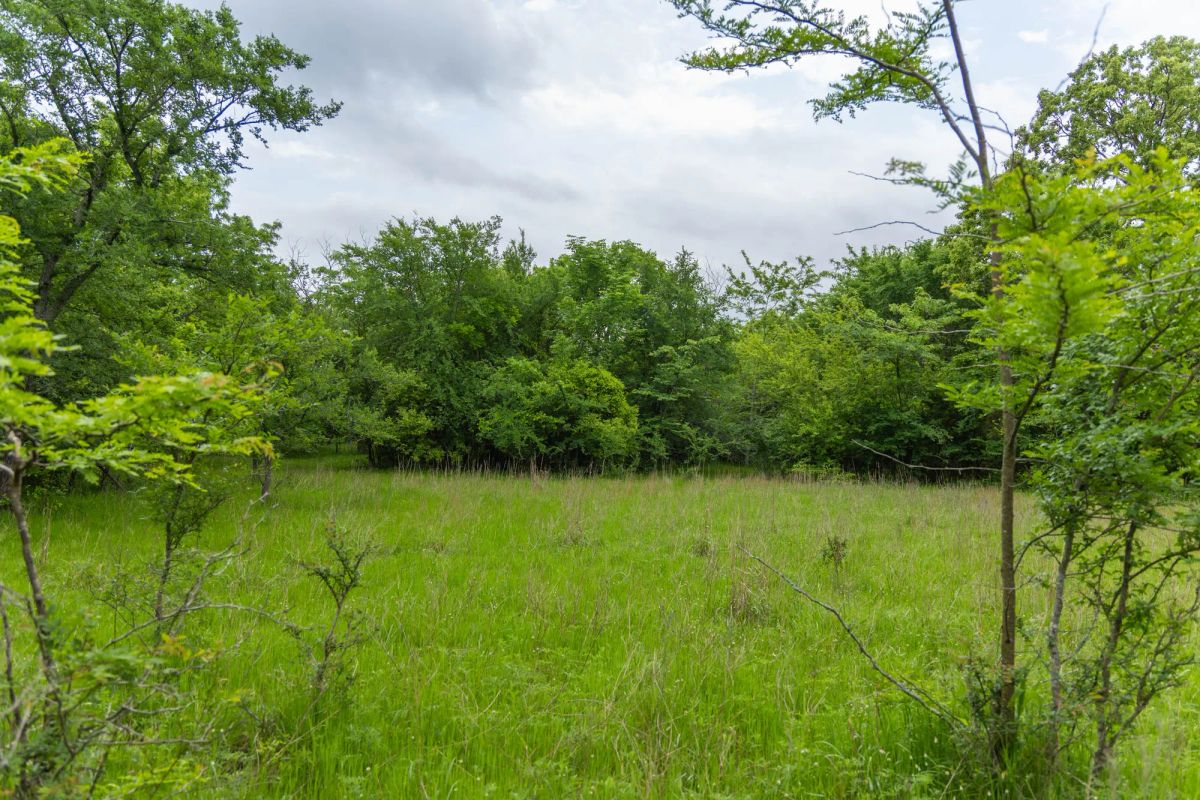 Harmony Hills Tract 10 - Main image