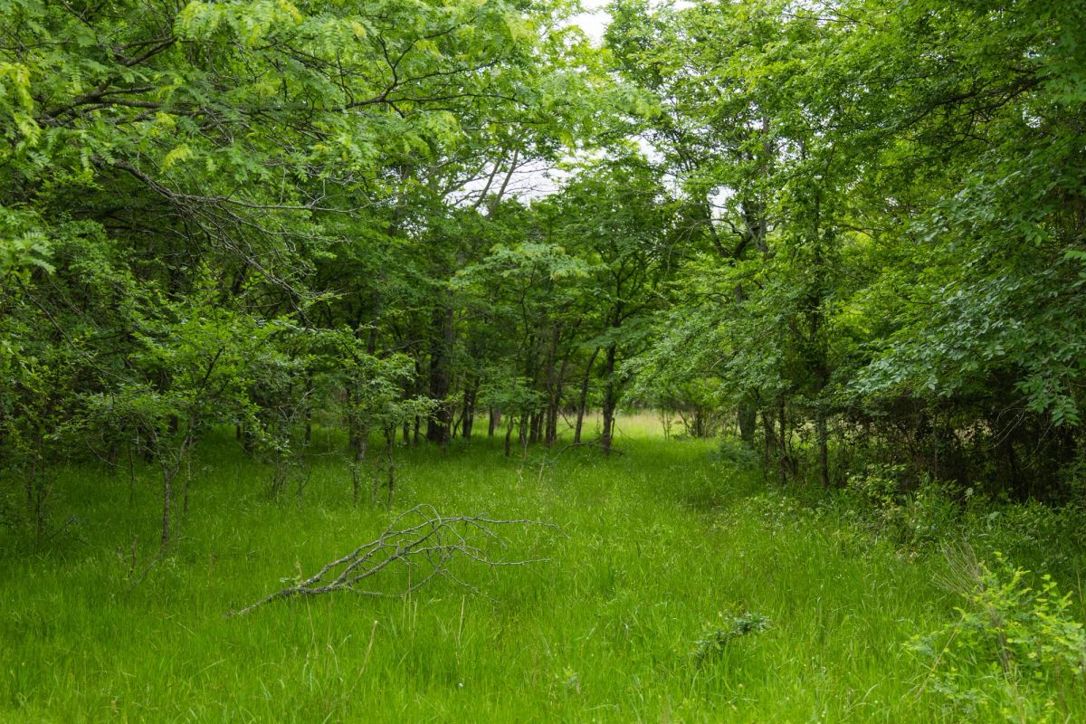 Harmony Hills Tract 10 - Image 3