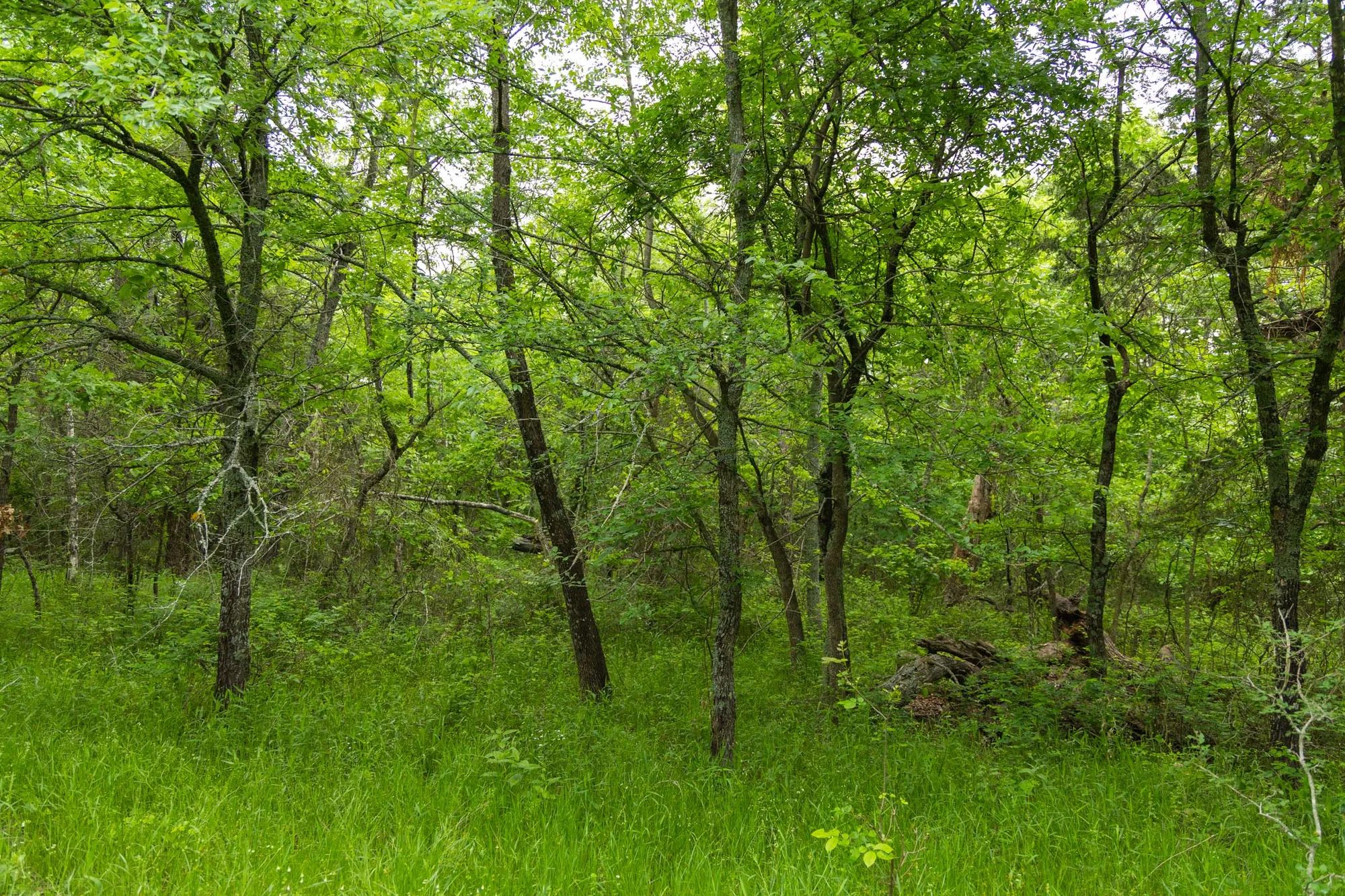 Harmony Hills Tract 10 in Pittsburg County, OK