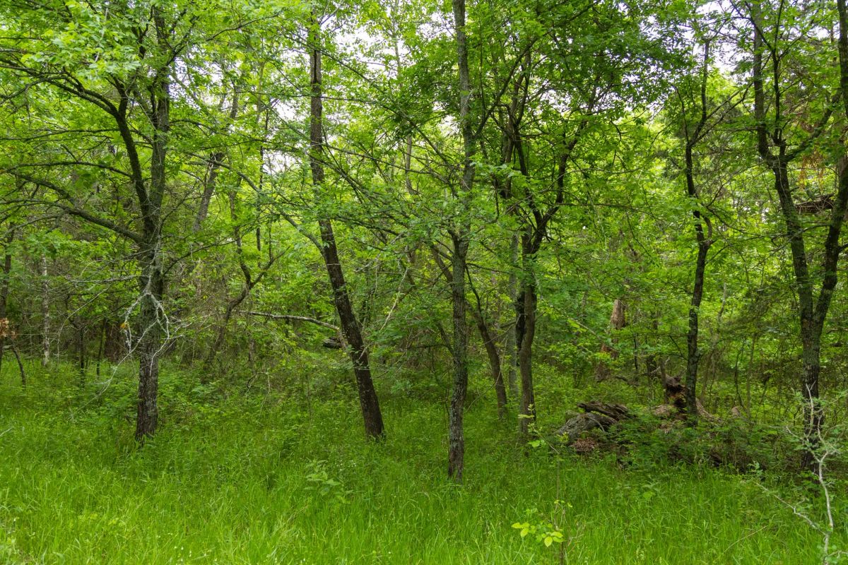 Harmony Hills Tract 10 - Image 4
