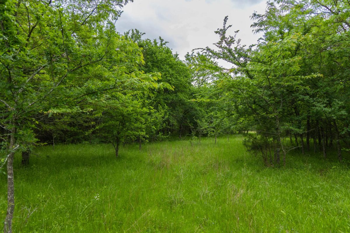 Decorative background for Harmony Hills Tract 10 image 10