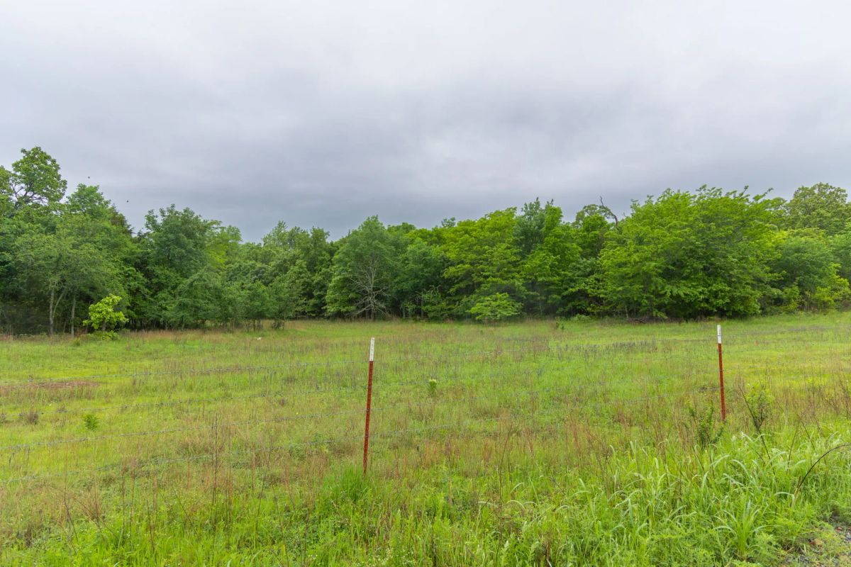 Decorative background for Harmony Hills Tract 10 image 13