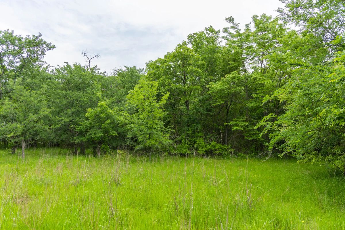 Decorative background for Harmony Hills Tract 10 image 16