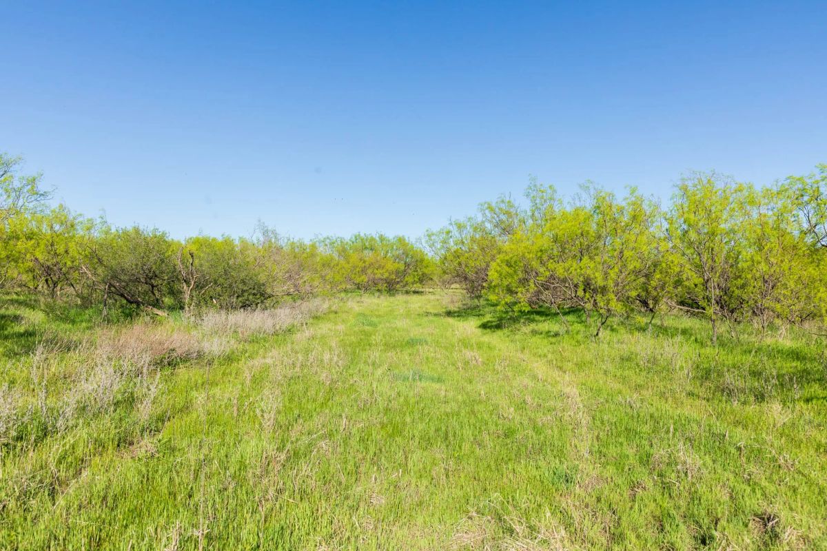 Hackberry Fields Tract 26 - Image 3