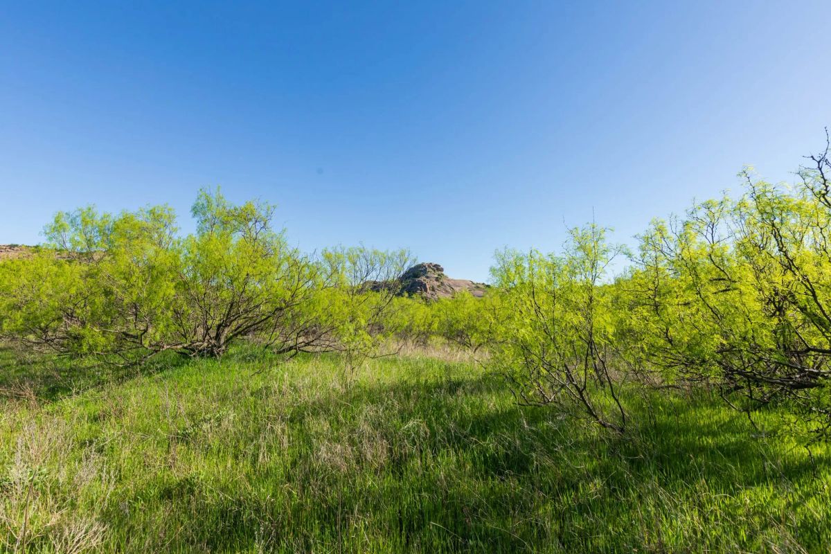 Decorative background for Hackberry Fields Tract 26 image 5