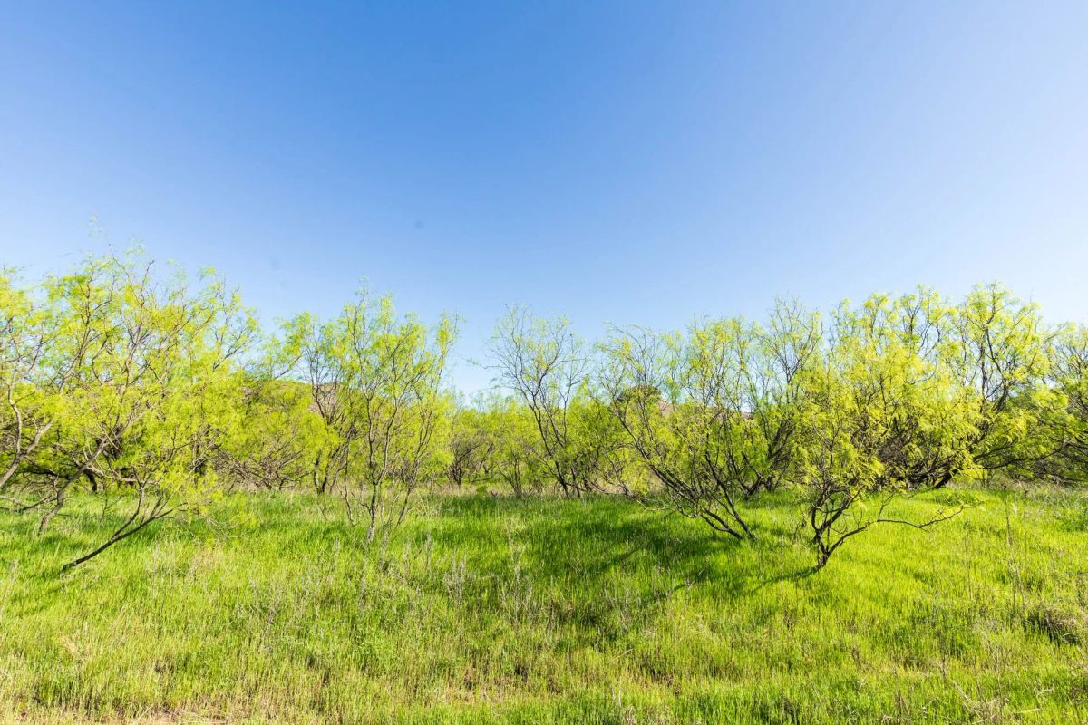 Decorative background for Hackberry Fields Tract 26 image 7