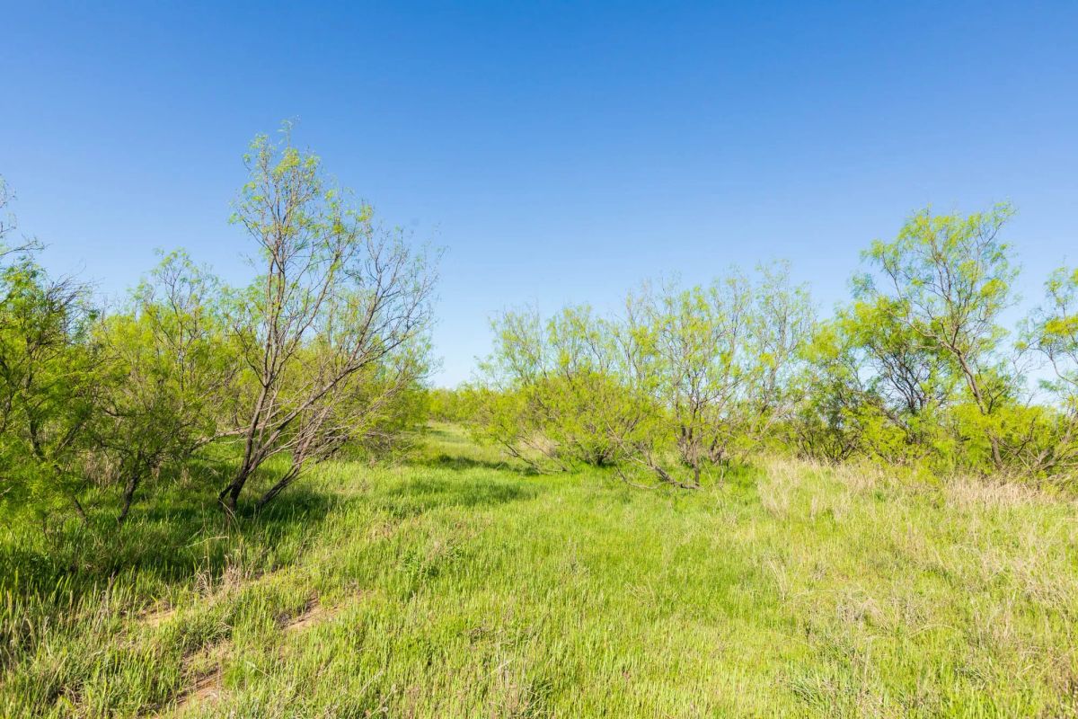 Decorative background for Hackberry Fields Tract 26 image 10