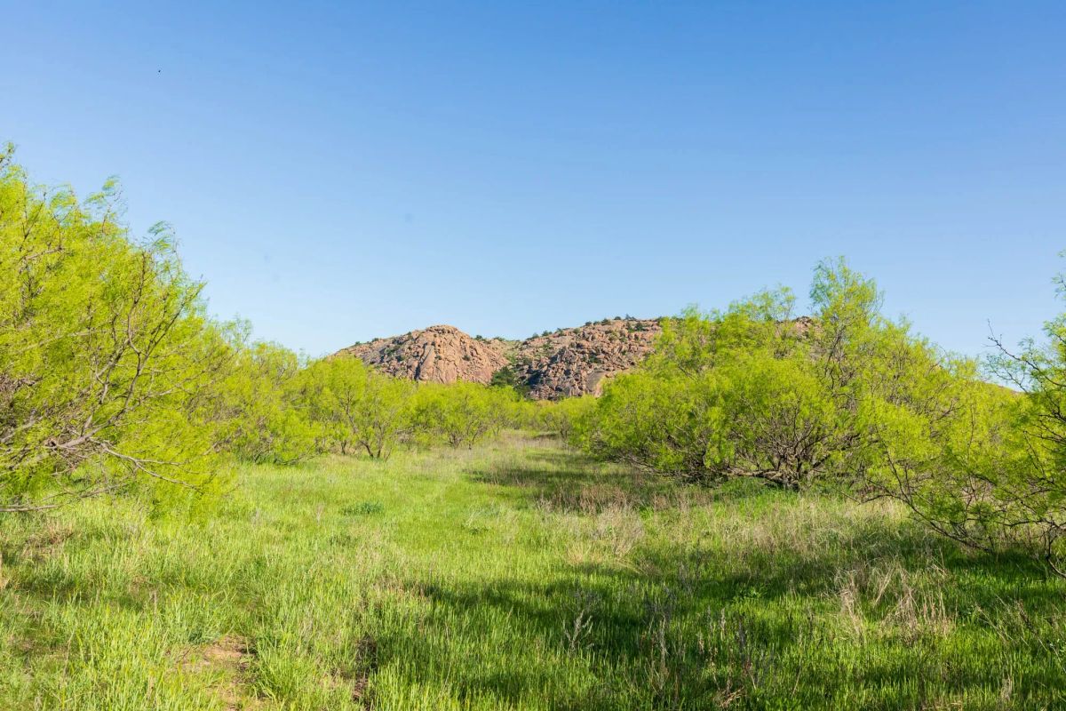 Decorative background for Hackberry Fields Tract 26 image 14