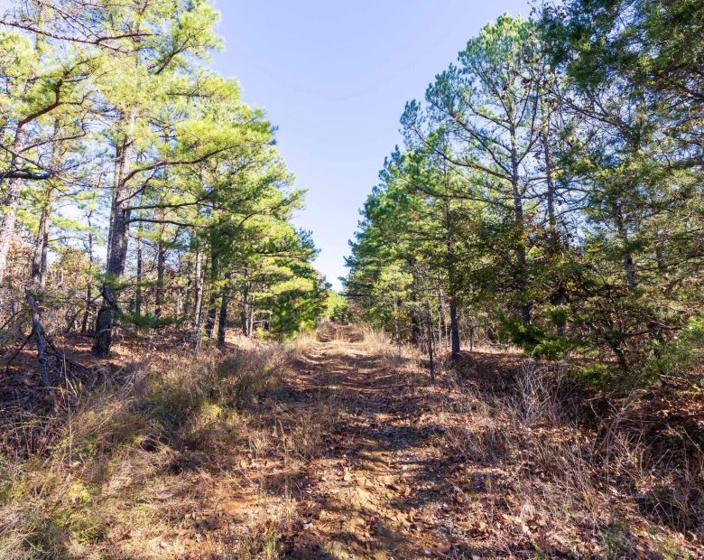 Stone Bridge Reserve Tract 4 in Haskell County, OK