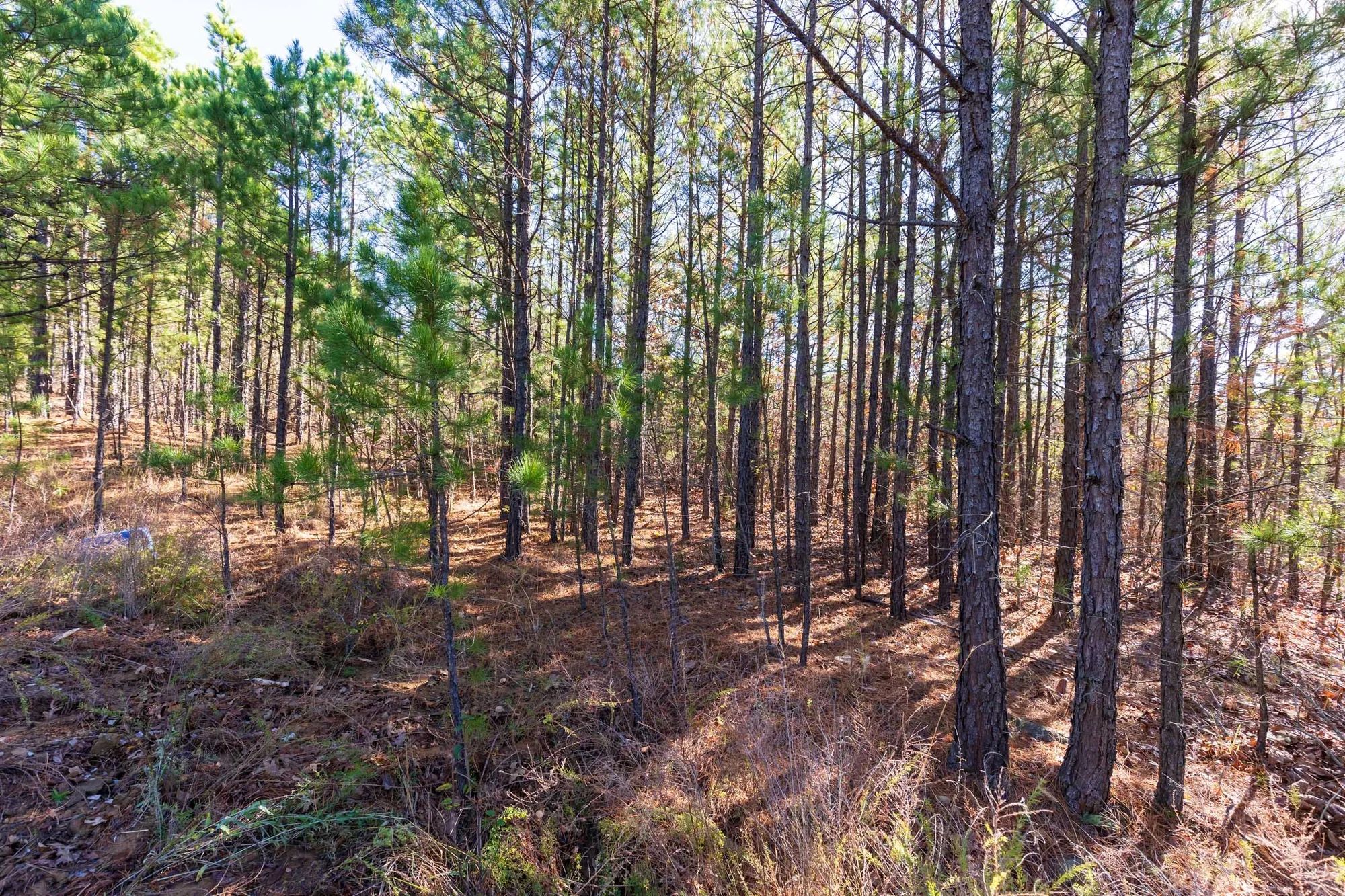 Stone Bridge Reserve Tract 4 in Haskell County, OK