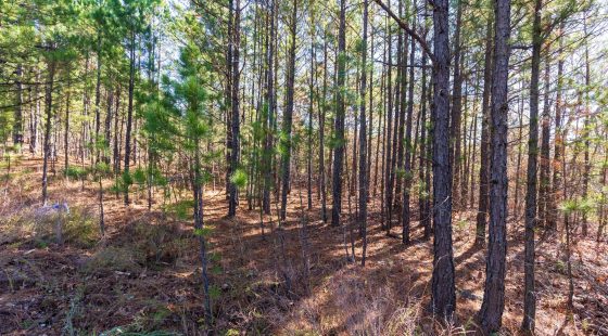 Stone Bridge Reserve Tract 4 in Haskell County, OK