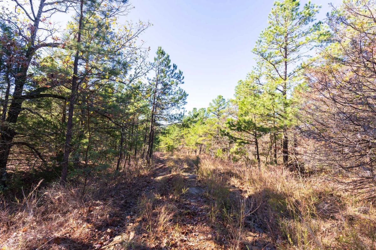 Stone Bridge Reserve Tract 4 - Image 4