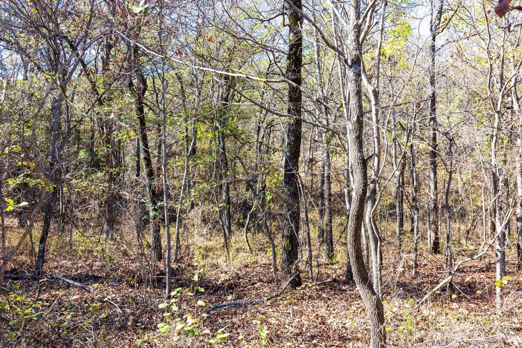 Stone Bridge Reserve Tract 8 in Haskell County, OK