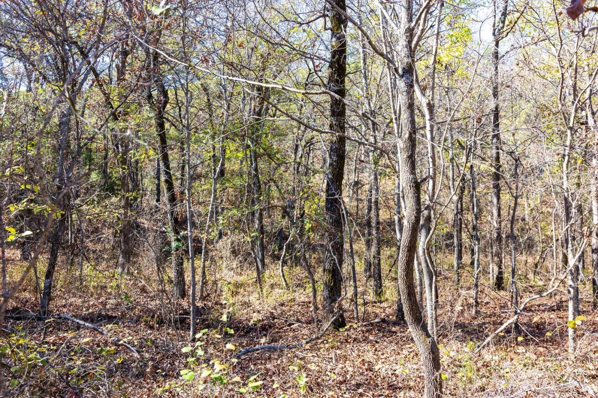 Stone Bridge Reserve Tract 8 - Image 2
