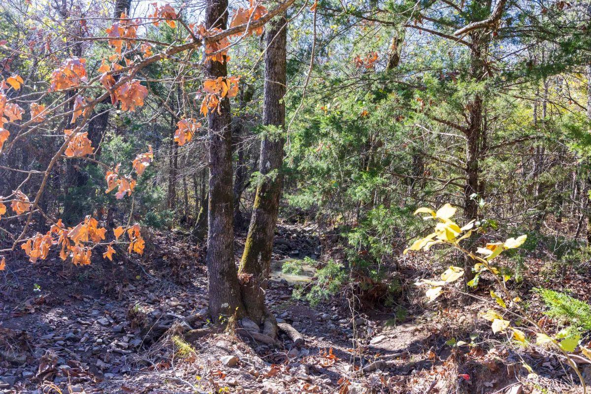 Stone Bridge Reserve Tract 8 - Image 3