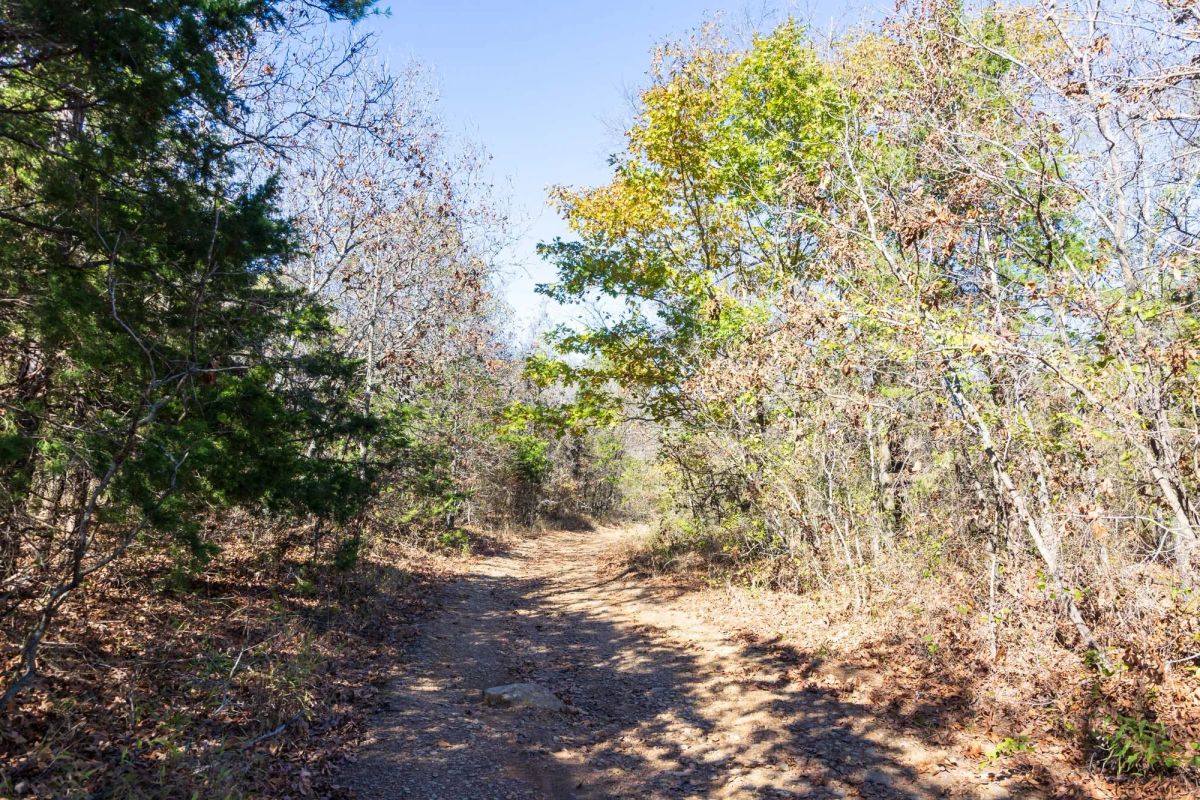 Stone Bridge Reserve Tract 8 - Image 4