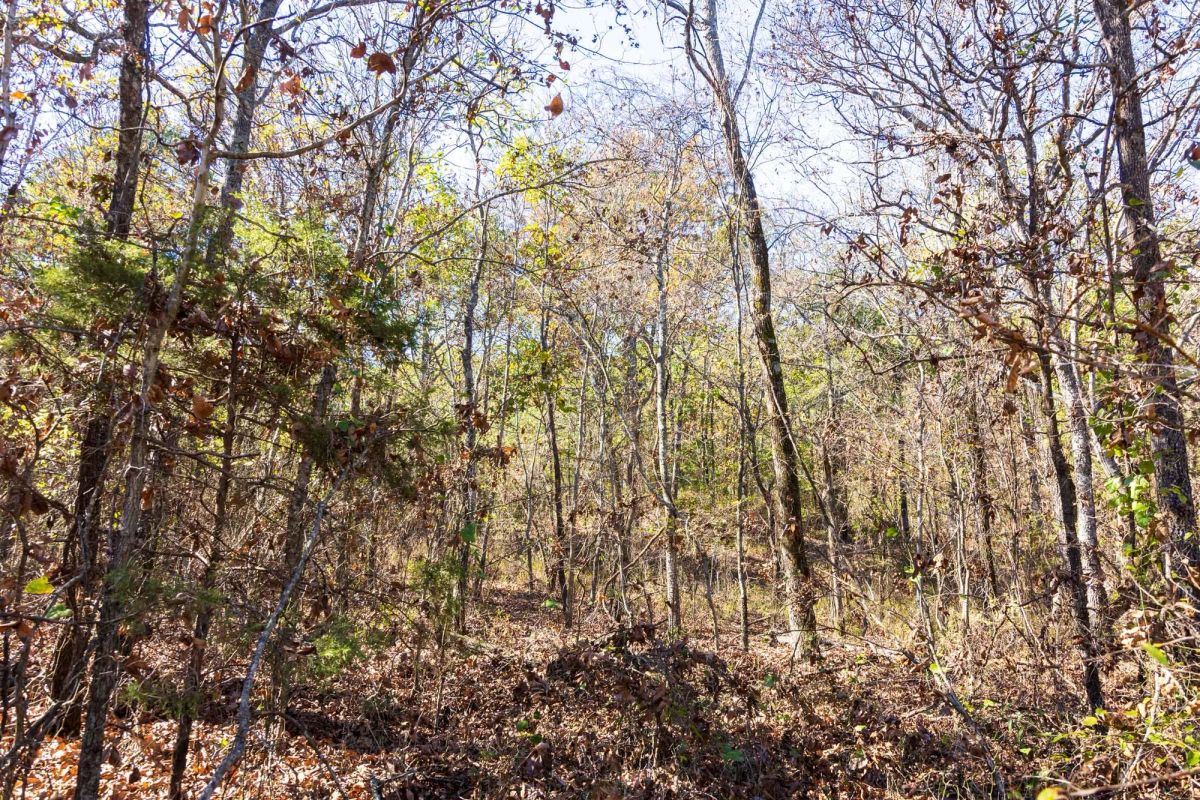 Decorative background for Stone Bridge Reserve Tract 8 image 5