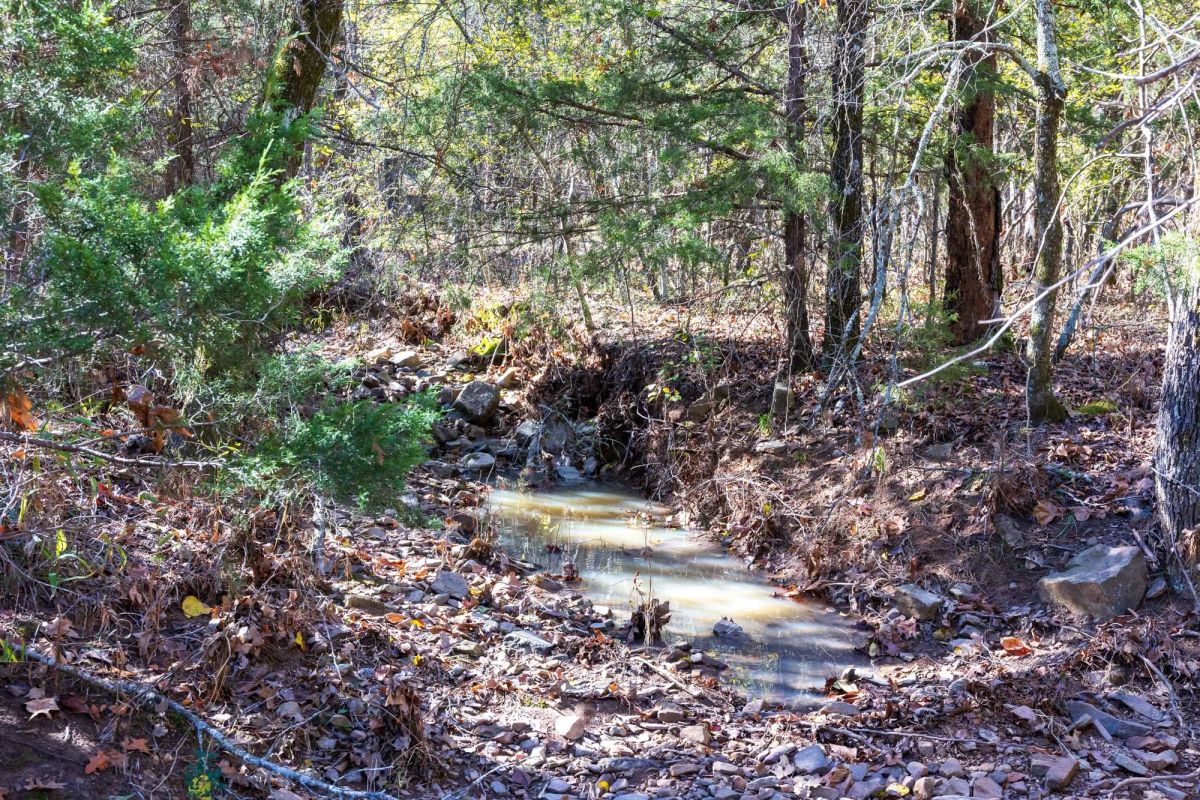 Decorative background for Stone Bridge Reserve Tract 8 image 6
