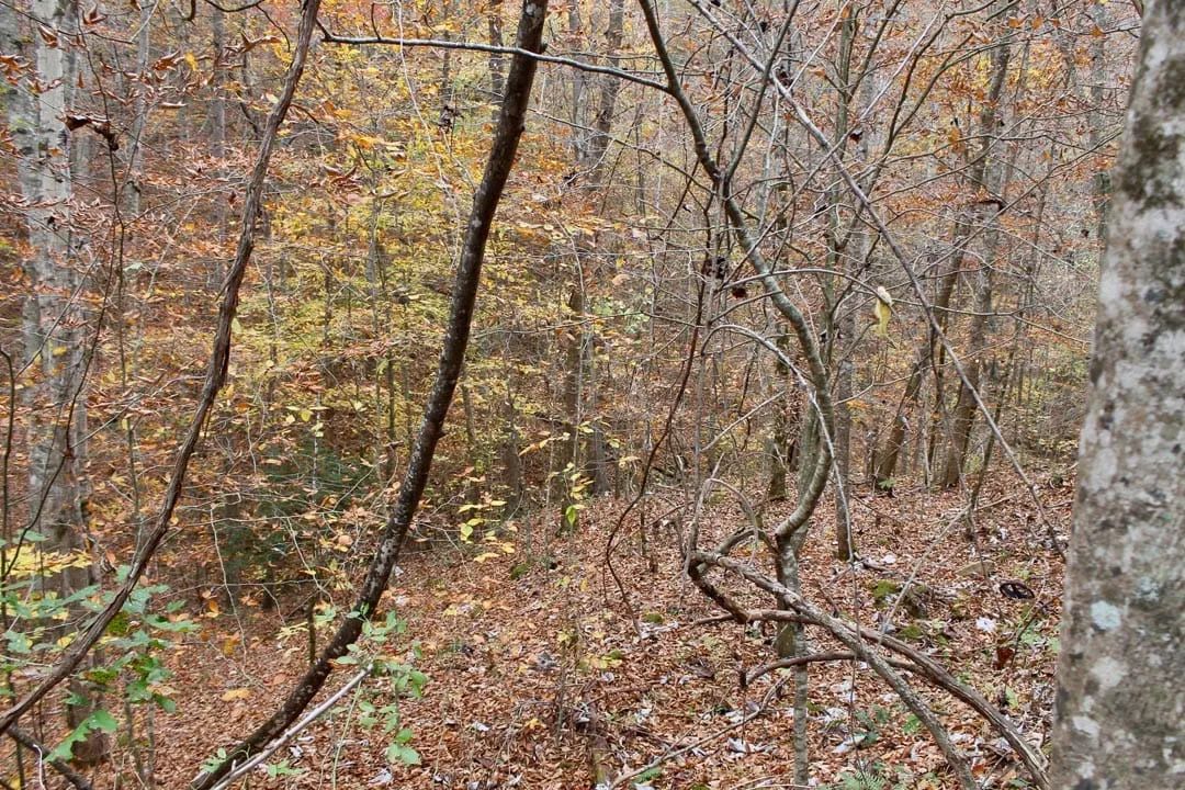Autumn Ridge Tract 4 - Image 2