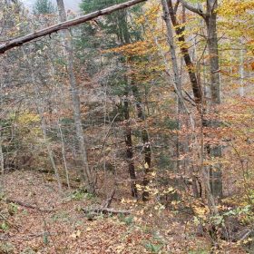 Autumn Ridge Tract 4 in Leslie County, KY