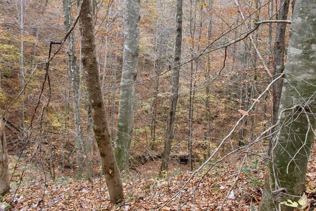 Decorative background for Autumn Ridge Tract 4 image 9