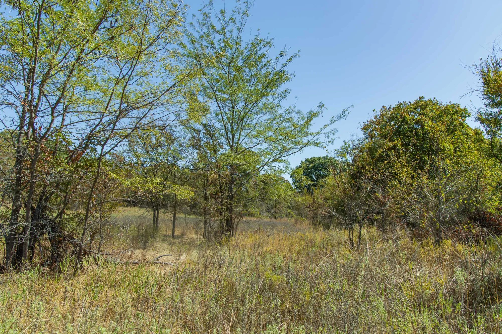 Gracyn Meadows Tract 1 in Okfuskee County, OK