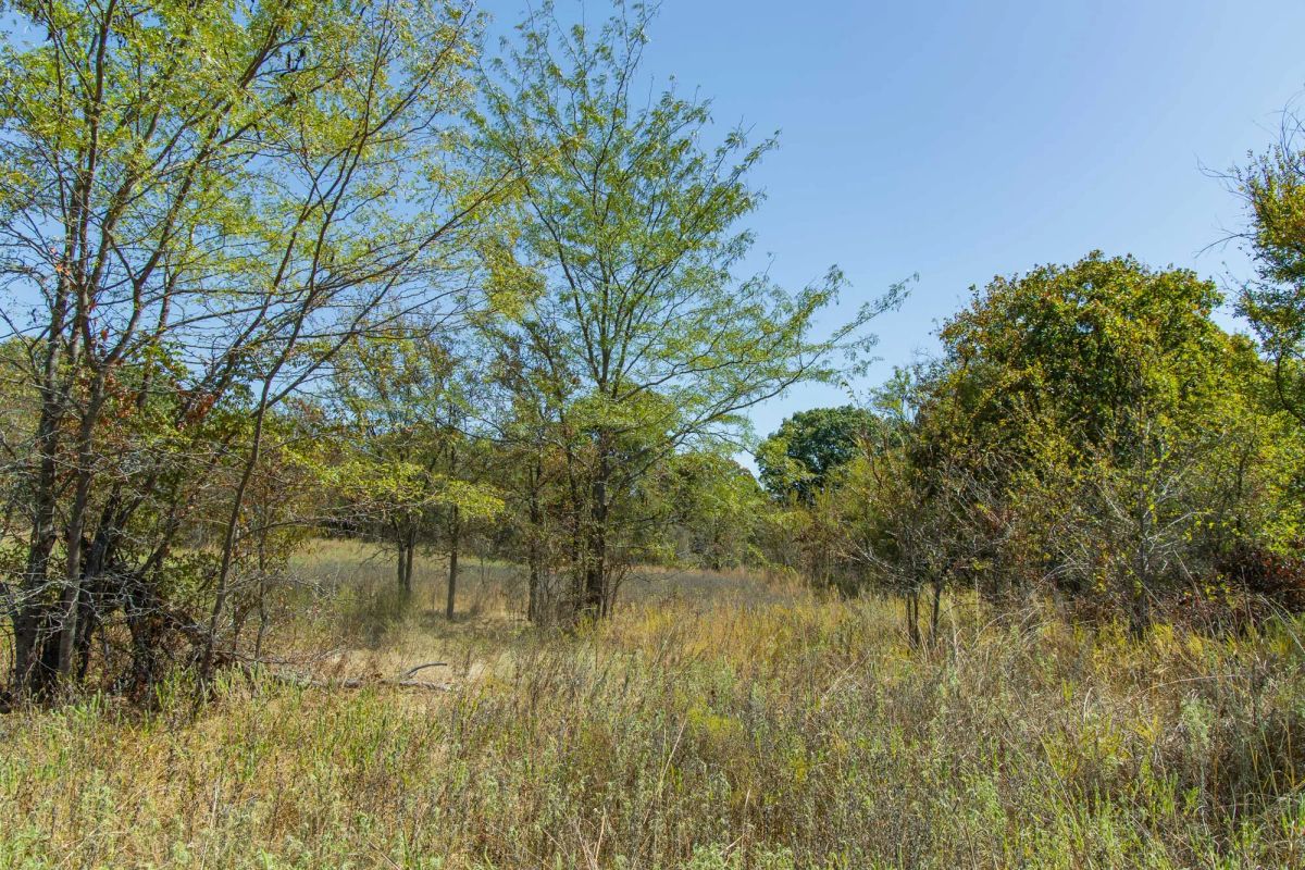 Gracyn Meadows Tract 1 - Image 2