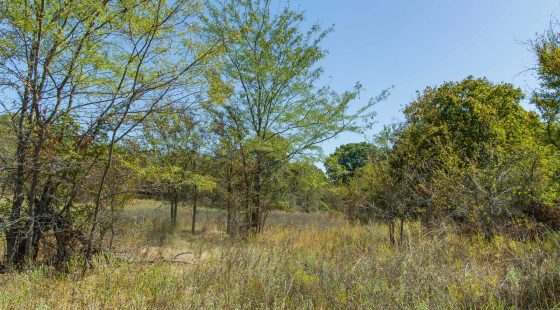 Gracyn Meadows Tract 1 in Okfuskee County, OK
