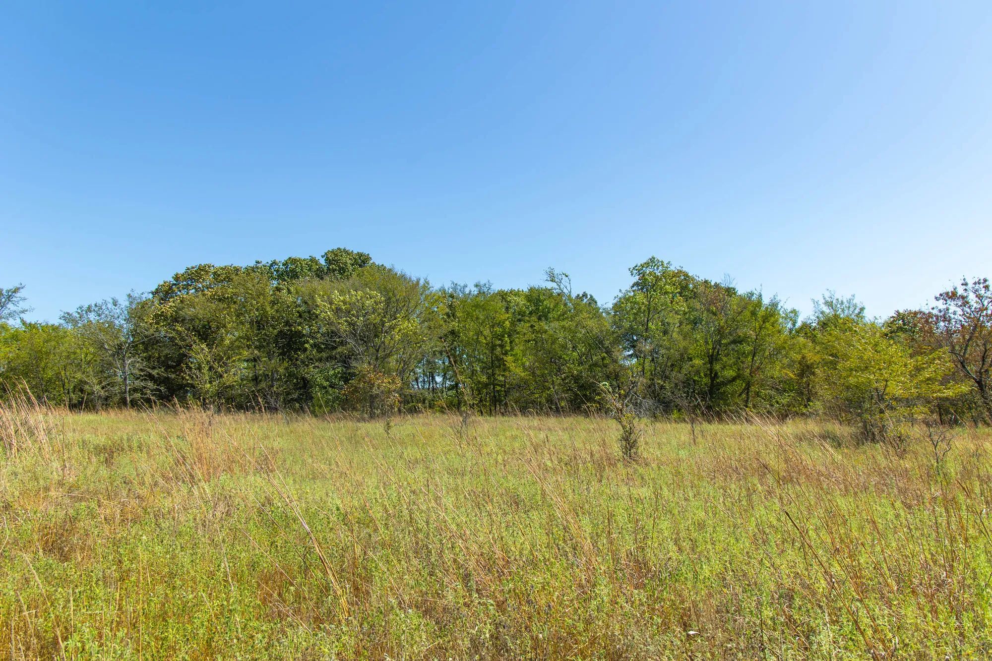 Gracyn Meadows Tract 1 in Okfuskee County, OK