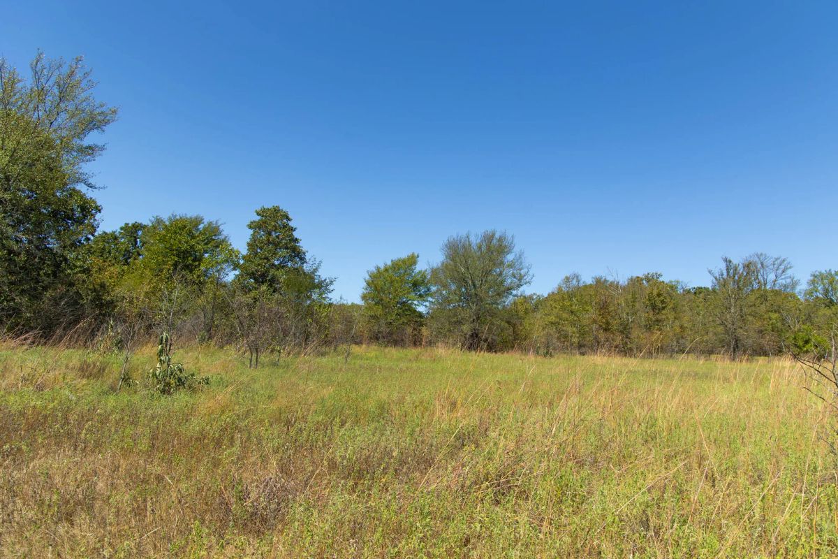 Decorative background for Gracyn Meadows Tract 1 image 7