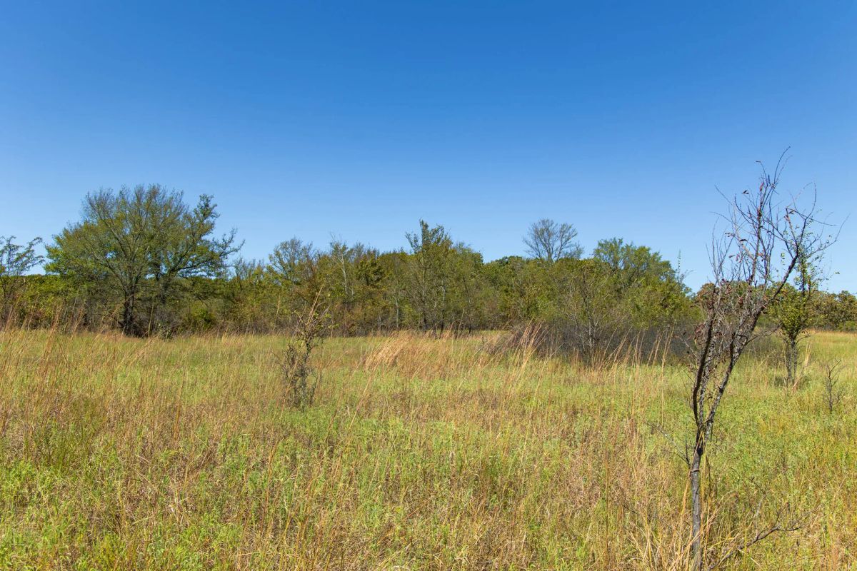 Decorative background for Gracyn Meadows Tract 1 image 9