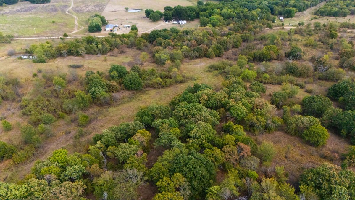 Decorative background for Gracyn Meadows Tract 1 image 11