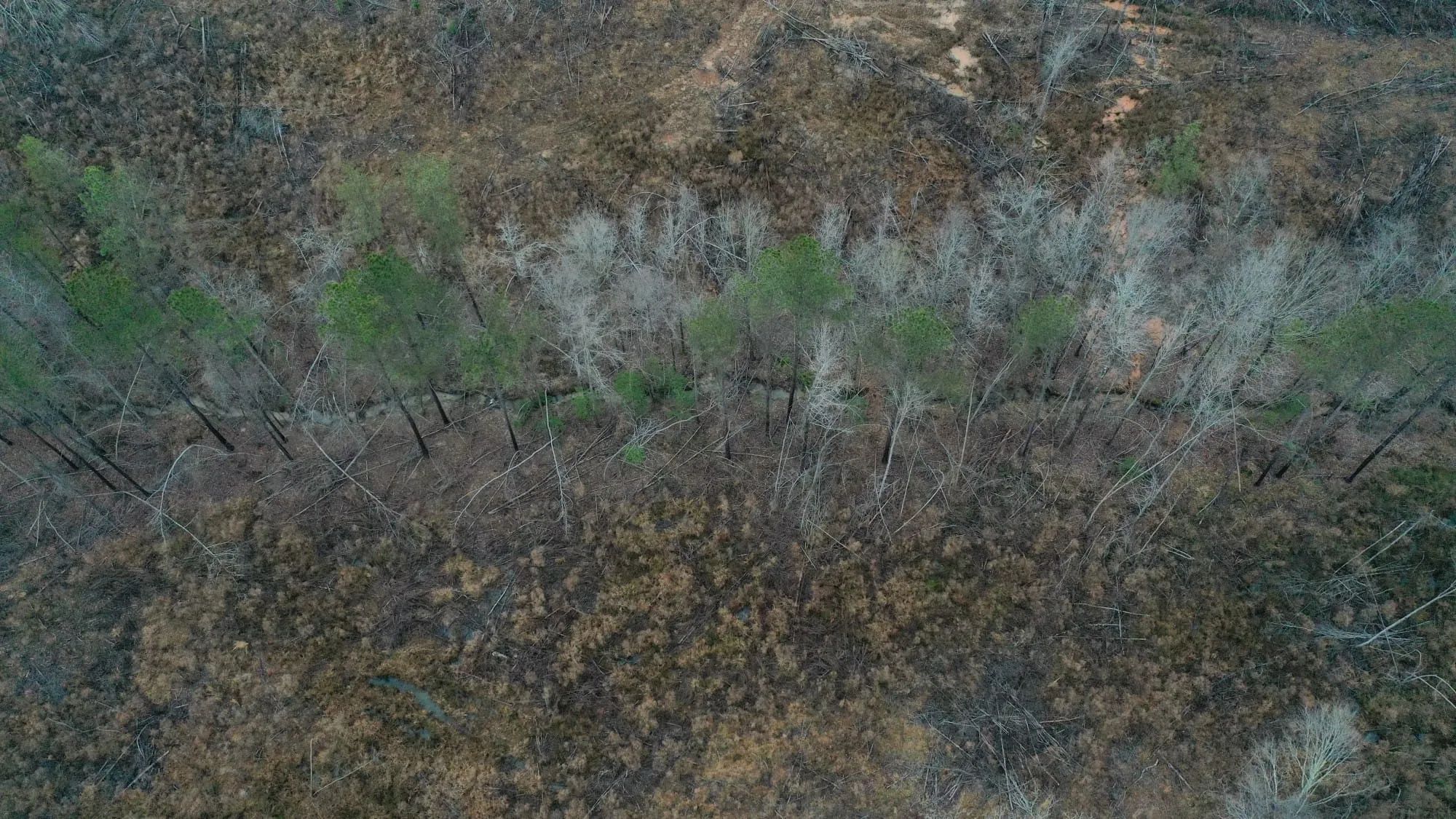 Fairview Hills Tract 7 in Lamar County, AL