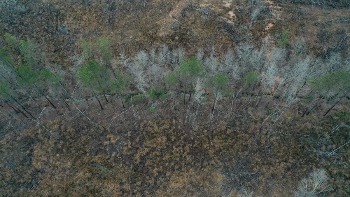 Fairview Hills Tract 7 - Image 3