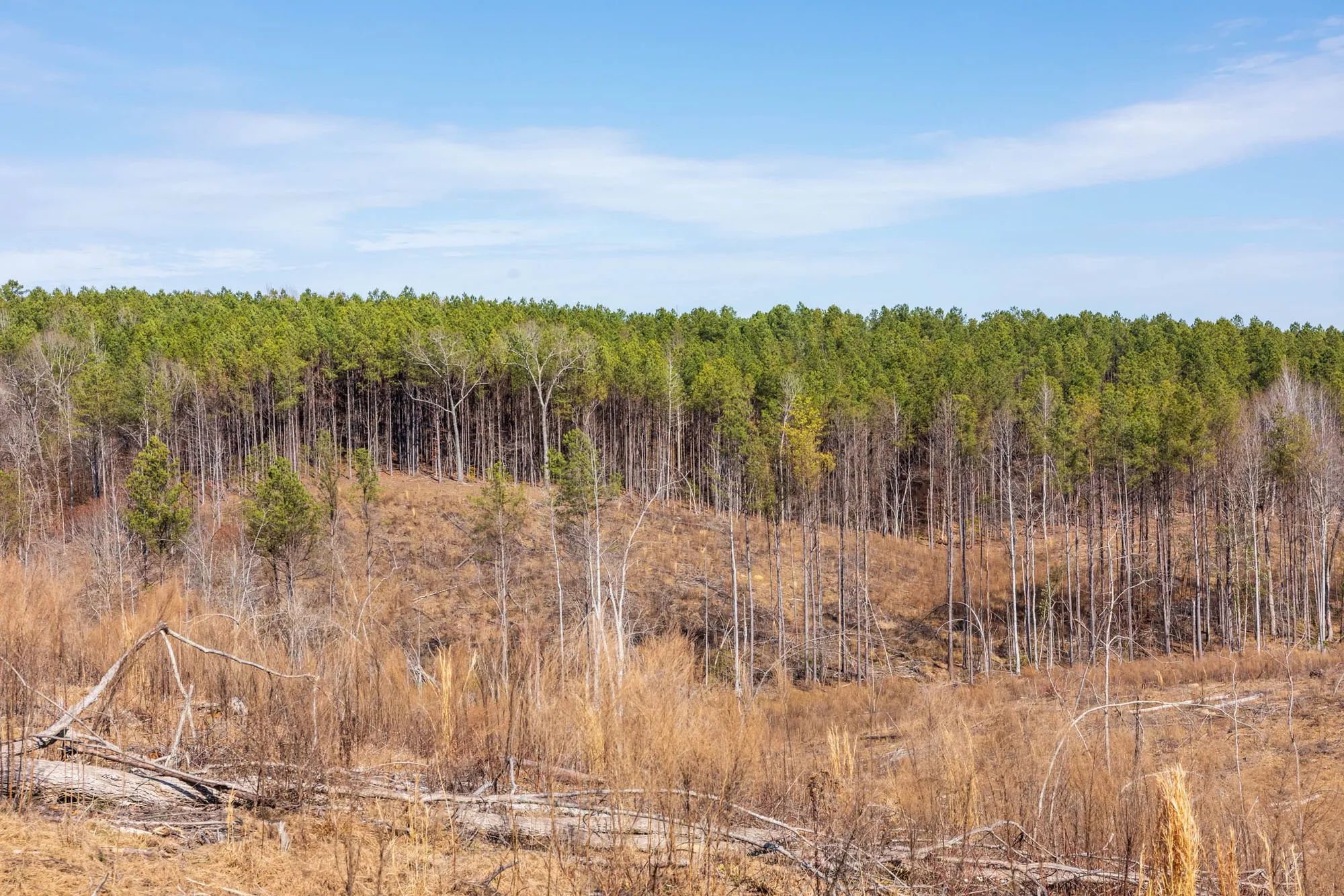 Fairview Hills Tract 7 in Lamar County, AL