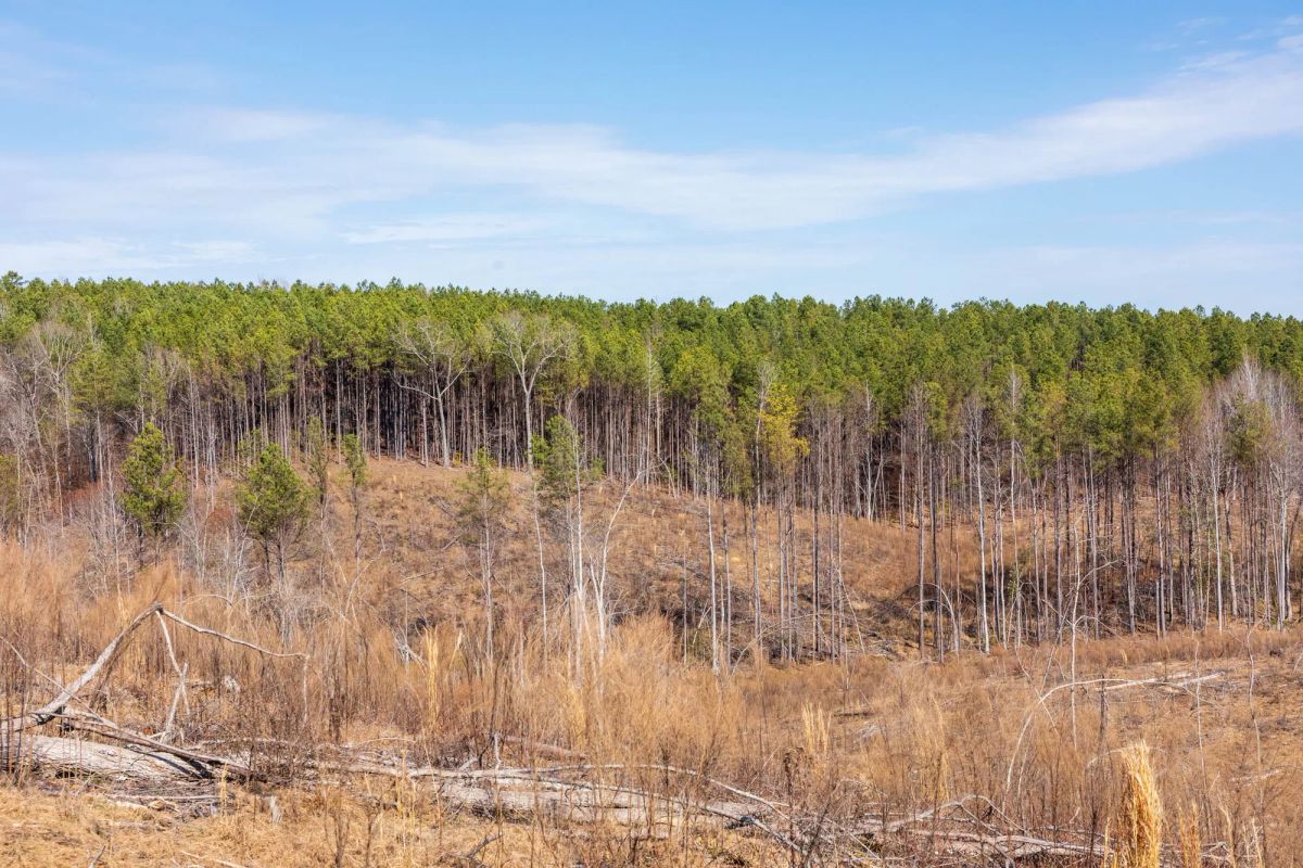 Fairview Hills Tract 7 - Image 4