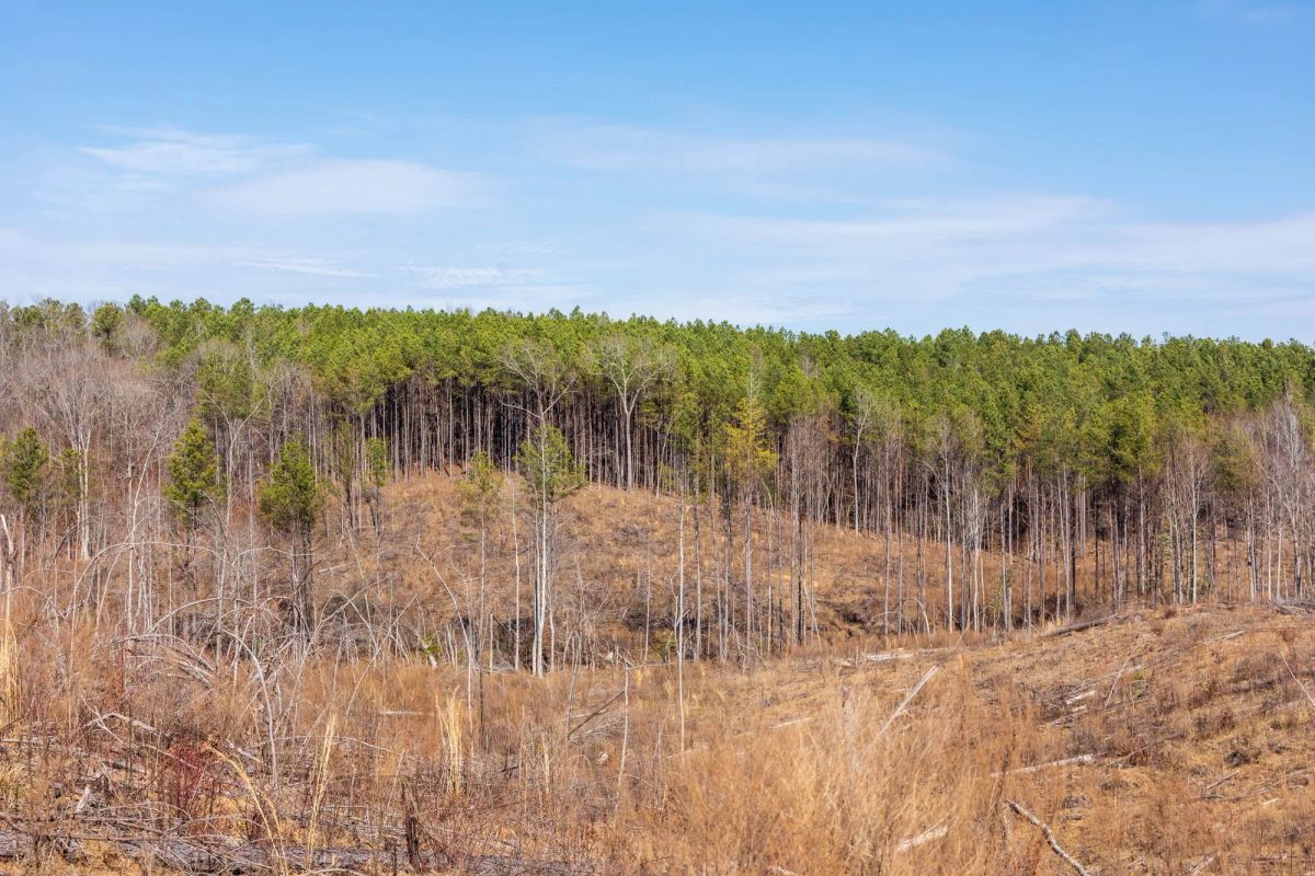 Decorative background for Fairview Hills Tract 7 image 6