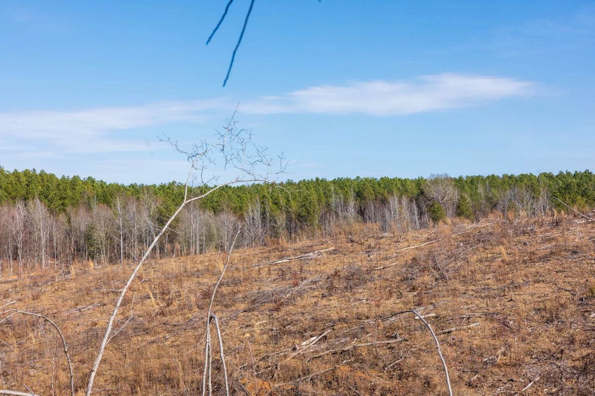 Decorative background for Fairview Hills Tract 7 image 7