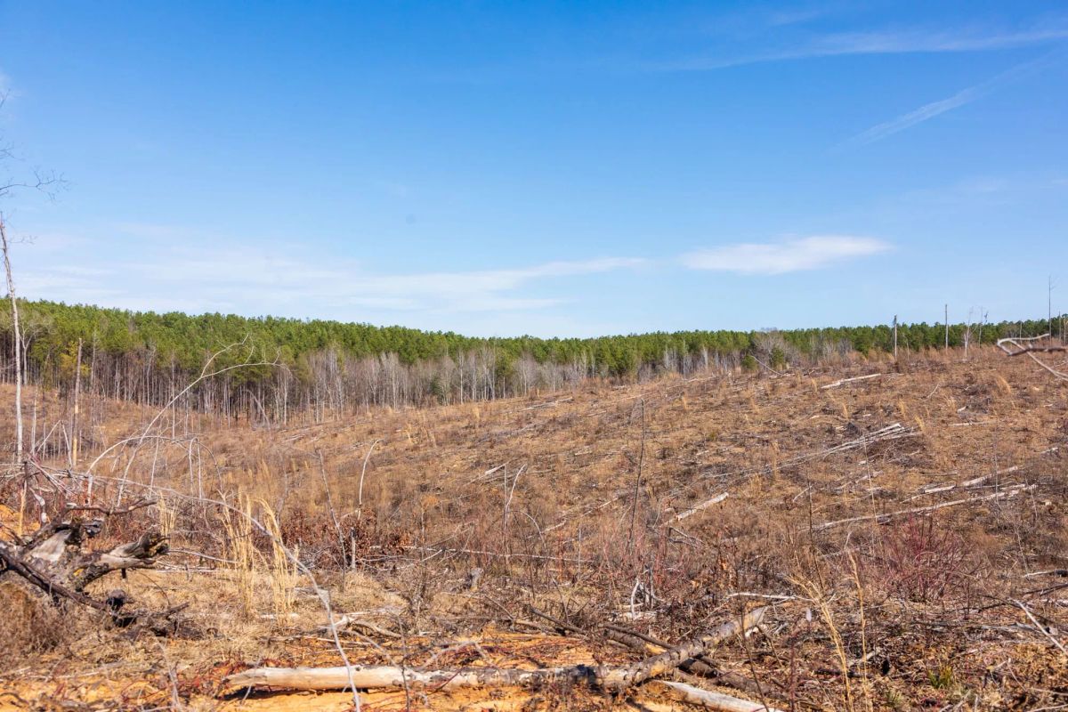 Decorative background for Fairview Hills Tract 7 image 9