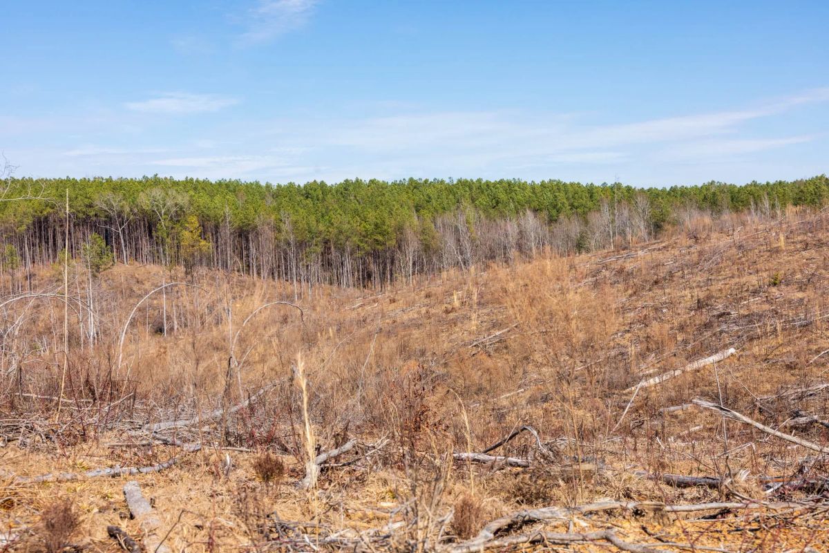Decorative background for Fairview Hills Tract 7 image 10