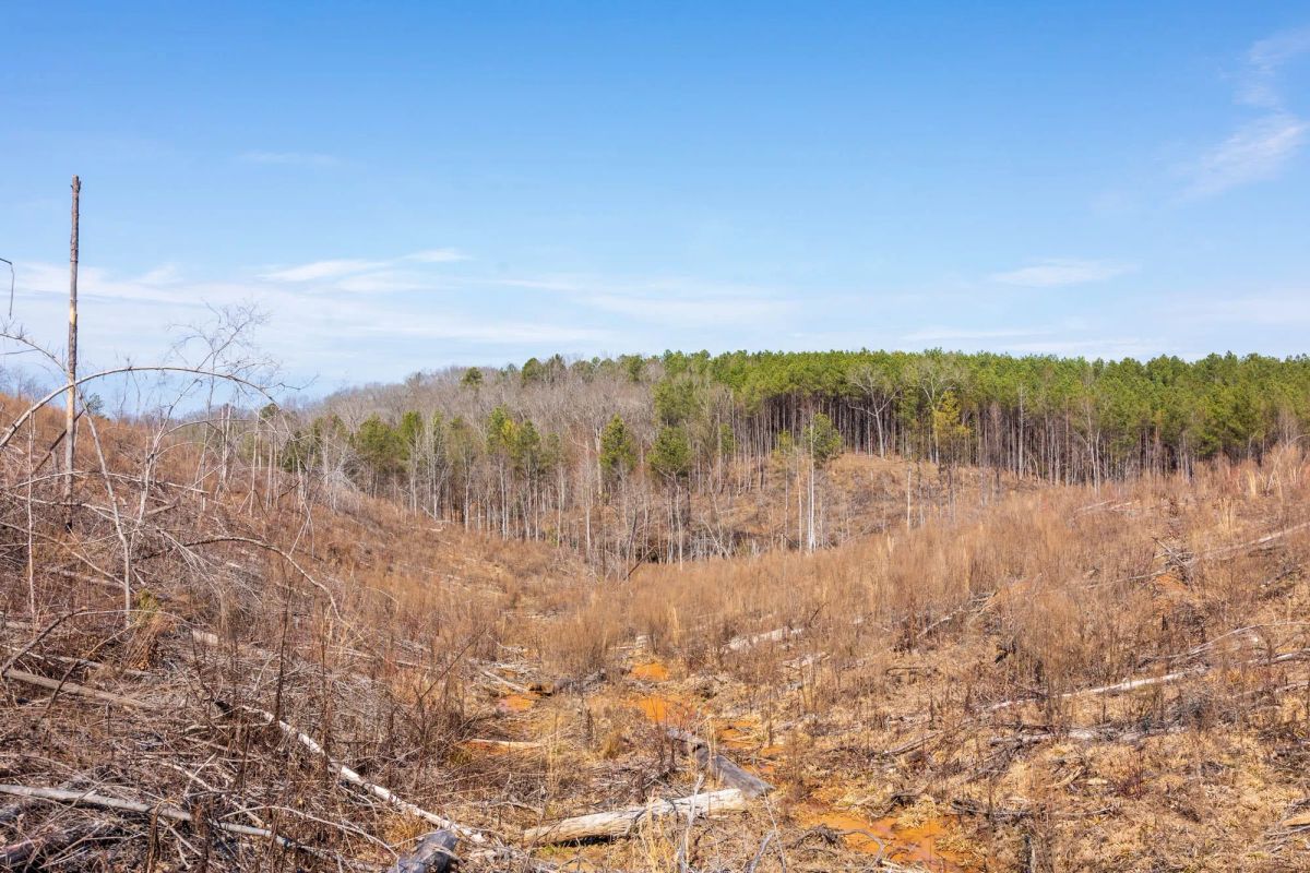 Decorative background for Fairview Hills Tract 7 image 11
