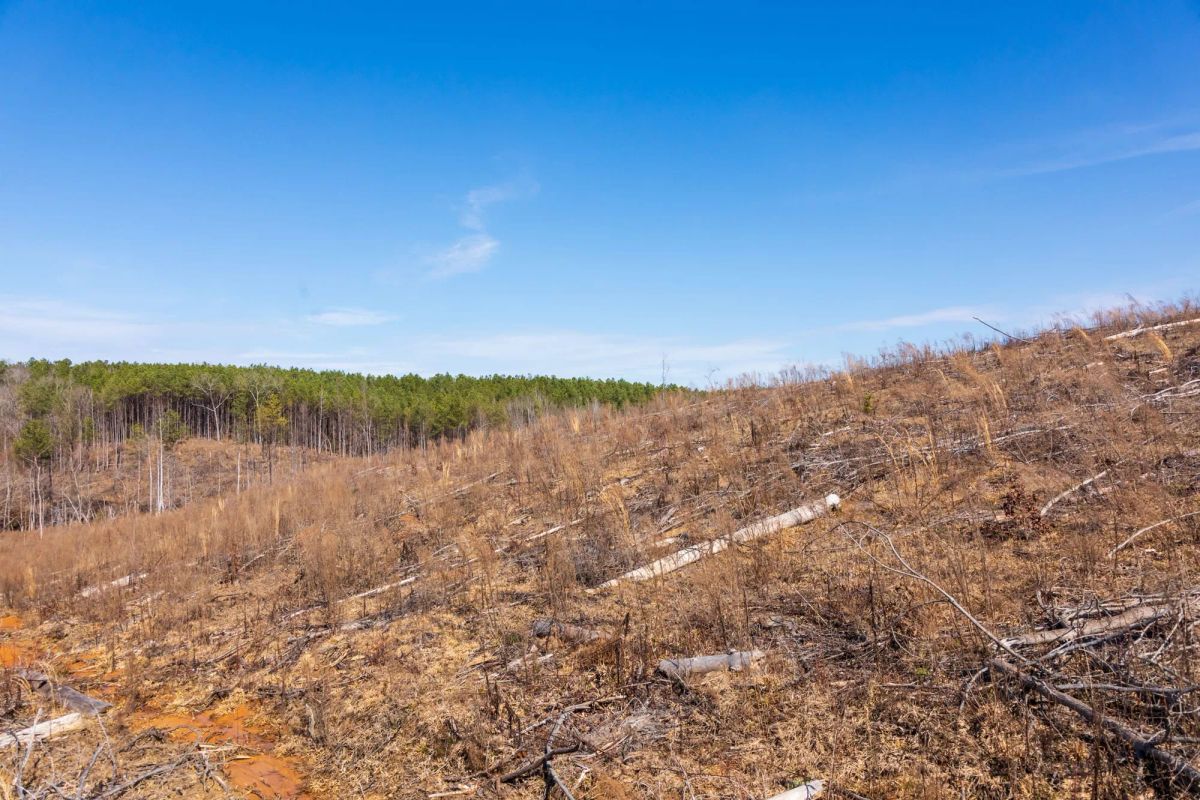 Decorative background for Fairview Hills Tract 7 image 12