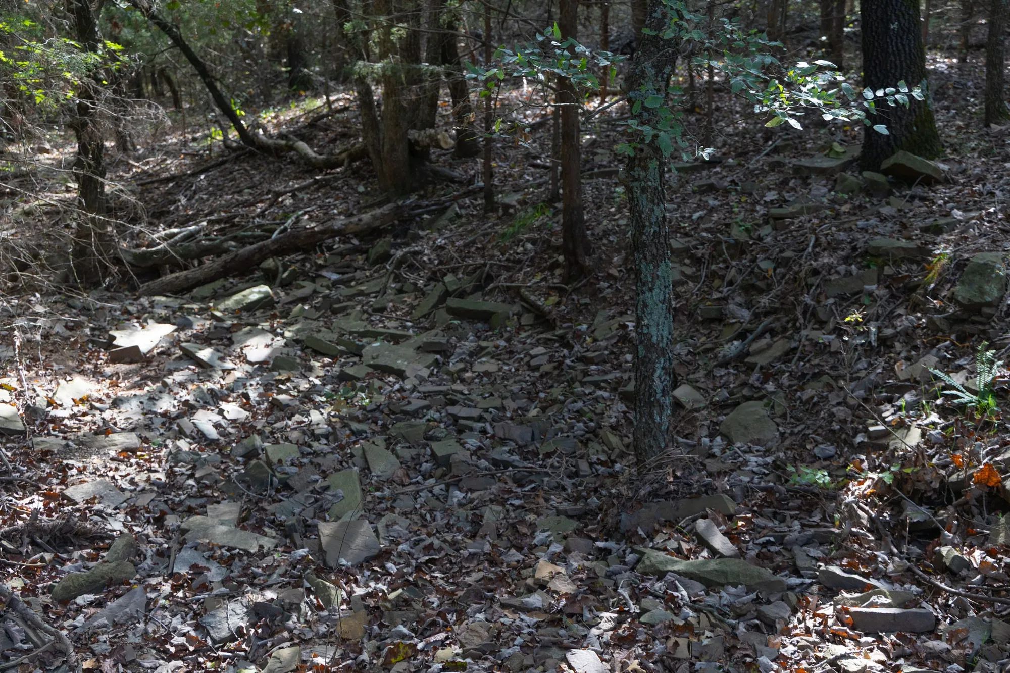 Reserves At Cattail Cove Phase II Tract 44 in Pittsburg County, OK